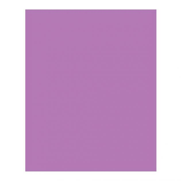 Eva Liso Folha 40x48cm 5mm Lilas Ibel 4195