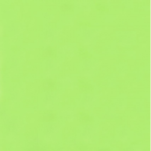 PAPEL CARMIM COLOR SET VERDE CLARO FOLHA 48X66CM PR