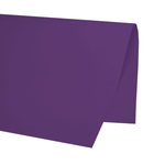 PAPEL-CARMIM-COLOR-SET-ROXO-FOLHA-48X66CM-PR-1X1UN