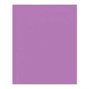 EVA LISO FOLHA 40X48CM 5MM LILAS IBEL