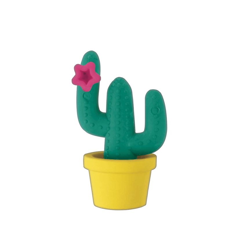 Borracha-Cactus-Tilibra-1X1UN