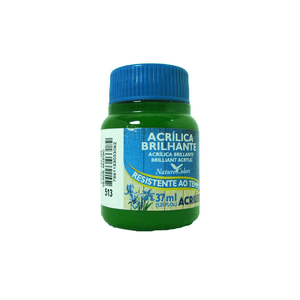 Tinta Acrilica Brilhante 37 ml Verde Musgo - Acrilex