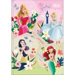 Caderno-Brochura-Capa-Dura-1-4-Princesas-48-Folhas----Sortido