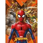 Caderno-Brochura-Capa-Dura-Universitario-Spider-Man-48-Folhas---Sortido