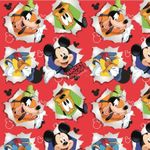 SACO-CROMUS-60x90-MICKEY-FRIENDSHIP-VERM