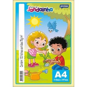 Papel A4 Color 75 g  100 Folhas - Jandainha