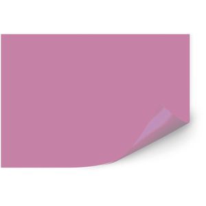 CARTOLINA 50 X 66CM 120G FOLHA ROSA BIGNARDI