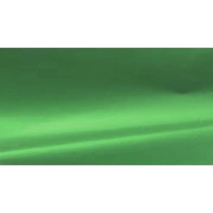 Cartolina Laminada 48 x 60 cm Verde - VMP