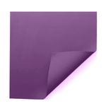 Eva-Liso-40X48-cm-Roxo---Gate