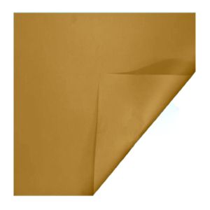 Papel Vivaldi Dourado 50X65 280 g  - Canson