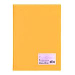 Pasta-Catalogo-Oficio-Amarela-Com-10-Envelopes-Finos---Dac