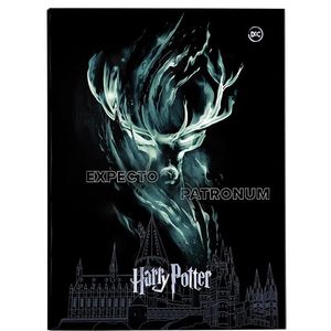 Pasta Catálogo Harry Potter Com 10 Envelopes - Dac