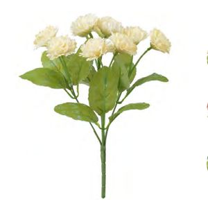 Rosa Crisantemo X5 Creme Outono 25CM - Florarte